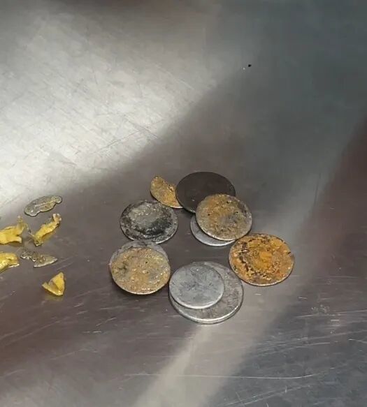 配资盘 丹顶鹤误食许愿池硬币，兽医用吸铁石“吸”出来：有丹顶鹤胃里取出十几枚，恢复情况良好