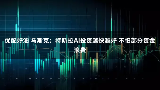 优配好油 马斯克：特斯拉AI投资越快越好 不怕部分资金浪费